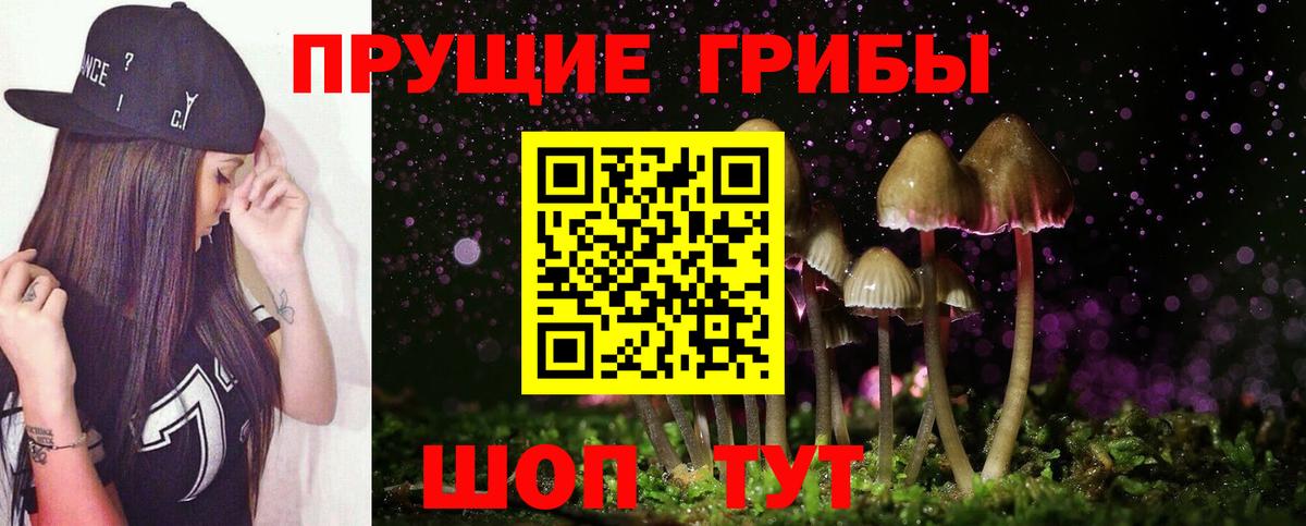 Псилоцибиновые грибы Psilocybine cubensis  Галлюциногенные грибы прущие грибы  Семилуки  Вход с VPN 